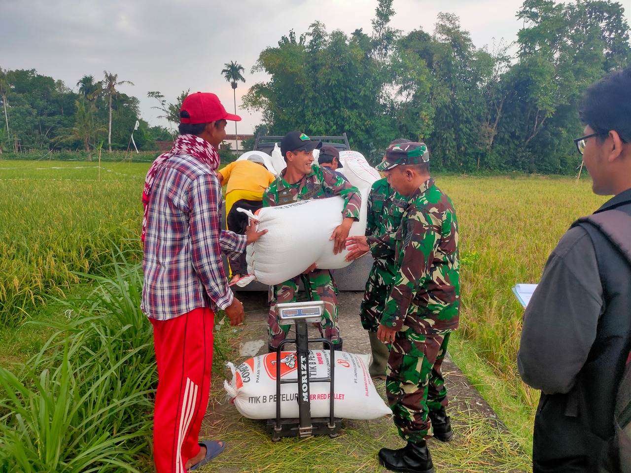 Bulog Jatim telah menyerap sebanyak 270.000 ton Gabah Kering Panen (GKP) atau setara 135.000 ton beras. SP/ NI