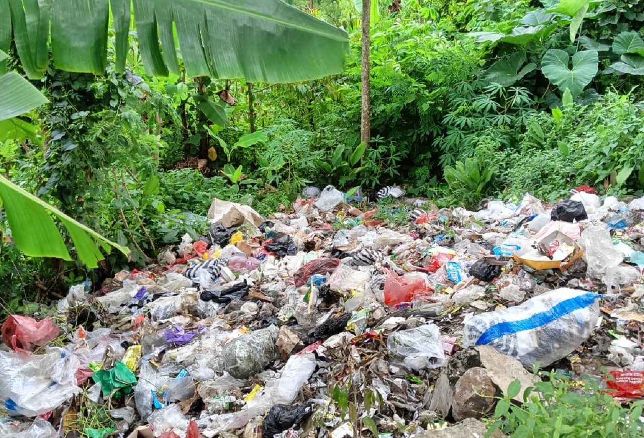 Penampakan Hutan di Dusun Notorejo, Desa Wonosalam, Kecamatan Wonosalam, Kabupaten Jombang yang tiba-tiba penuh dengan tumpukan sampah dengan bau tidak sedap. SP/ JBG