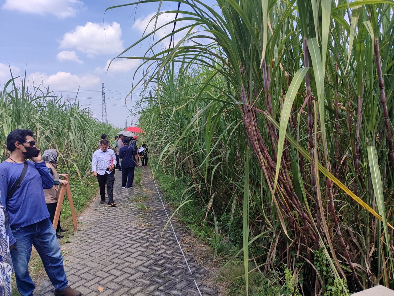Pelaksanaan eksekusi lahan waris di Desa Sukosari. SP/ SAREP