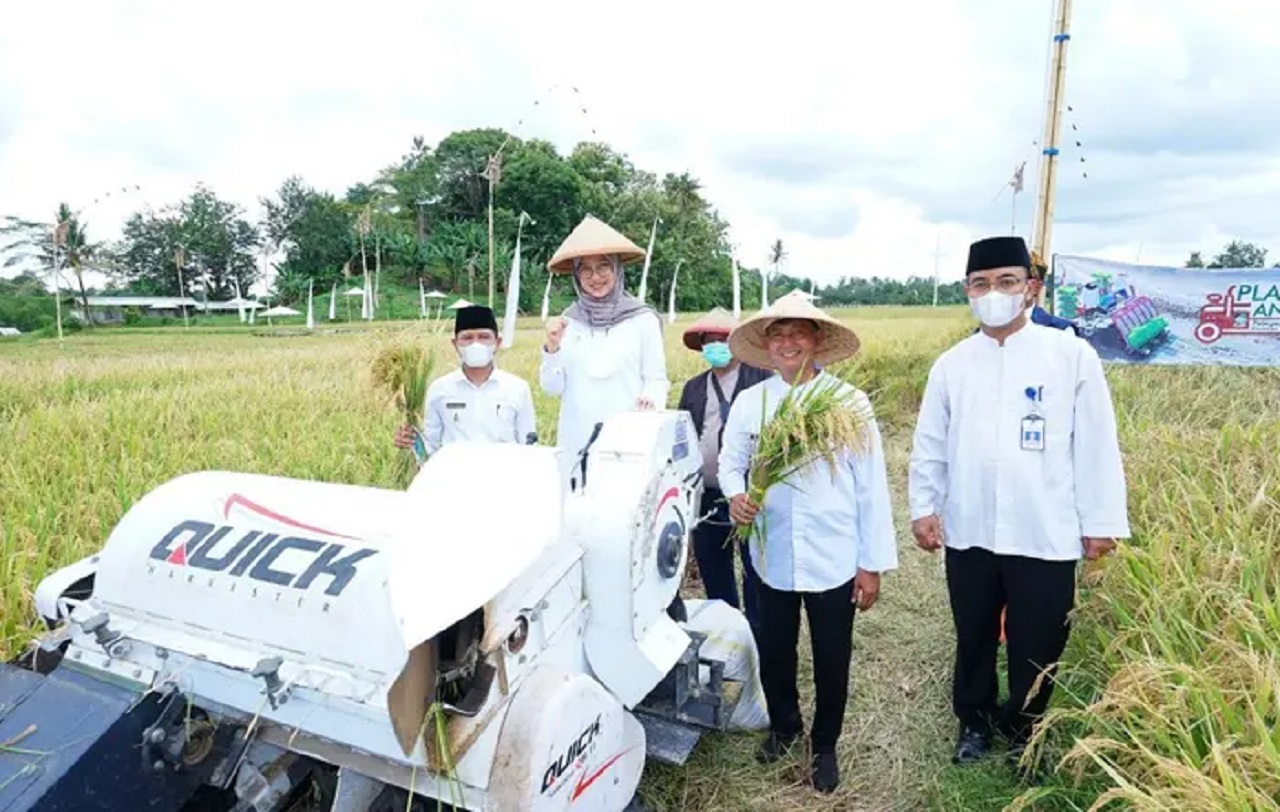Bupati Banyuwangi Ipuk Fiestiandani ikut panen raya padi bersama para petani. SP/ BYW