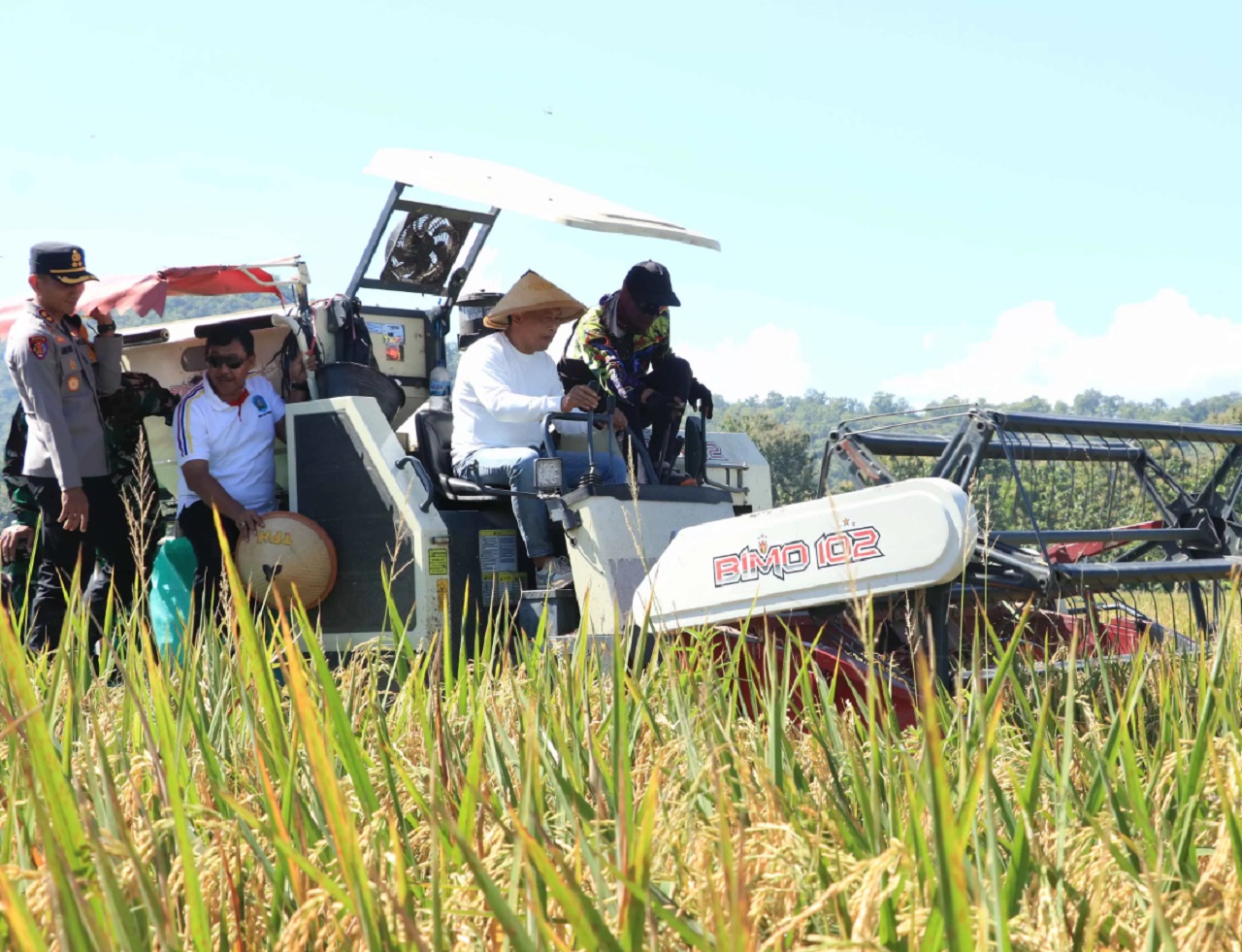 Ilustrasi. Musim panen padi di Ponorogo, Jawa Timur. SP/ PNG