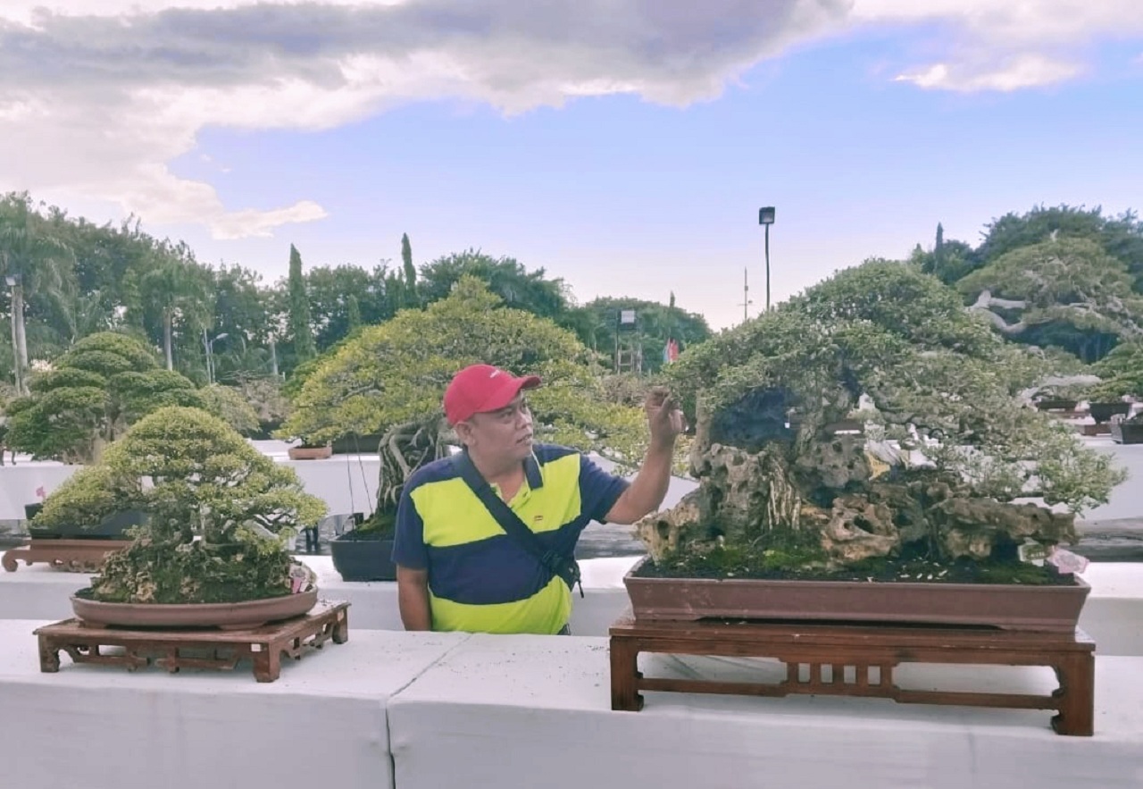 Seorang peserta kontes bonsai sedang menata tanaman miliknya di stan perlombaan. SP/ Maidid