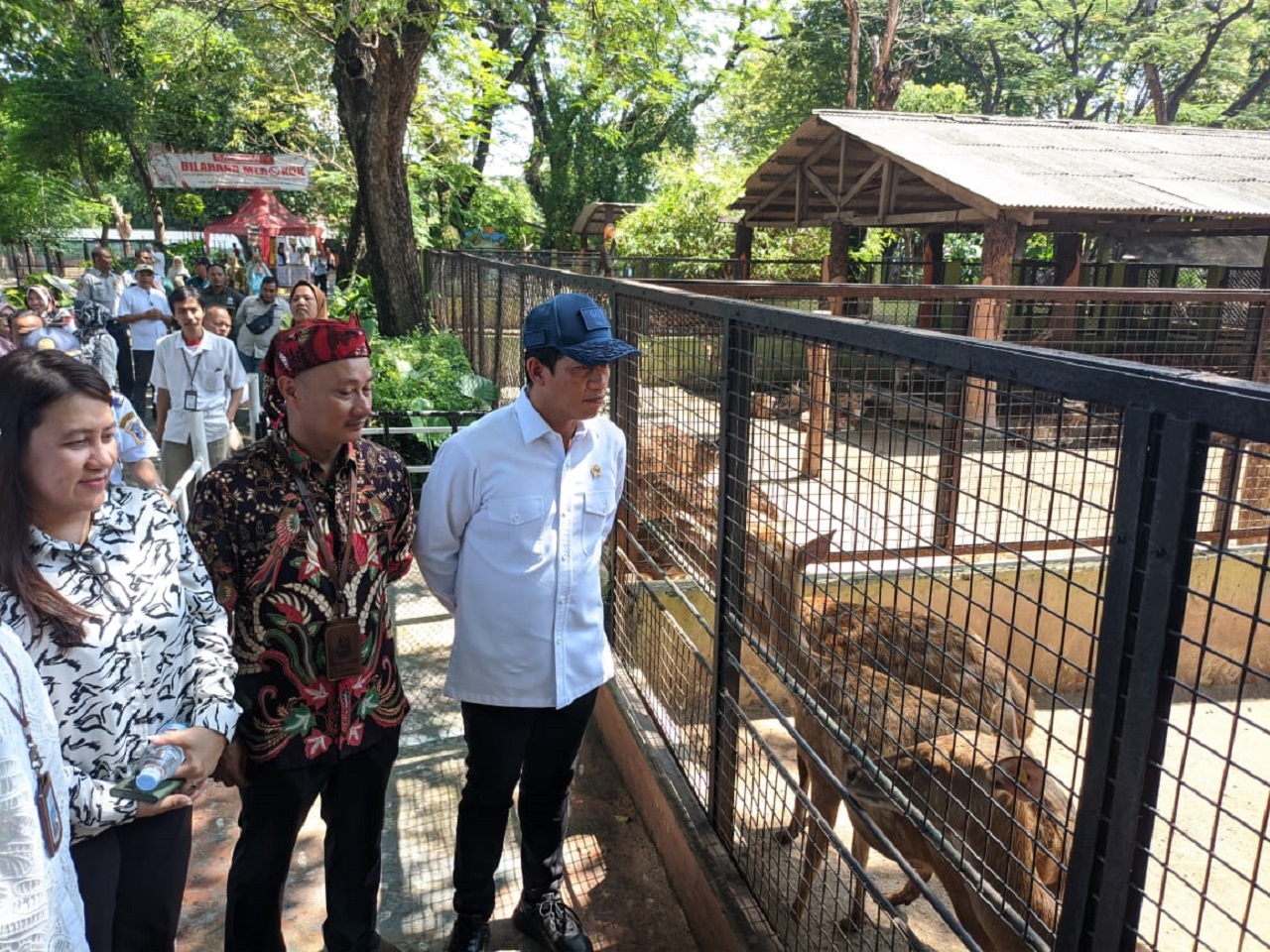 Menteri Hanif Faisol Nurofiq kunjungan kerja ke KBS Surabaya tinjau para satwa. SP/ Achmad Adi