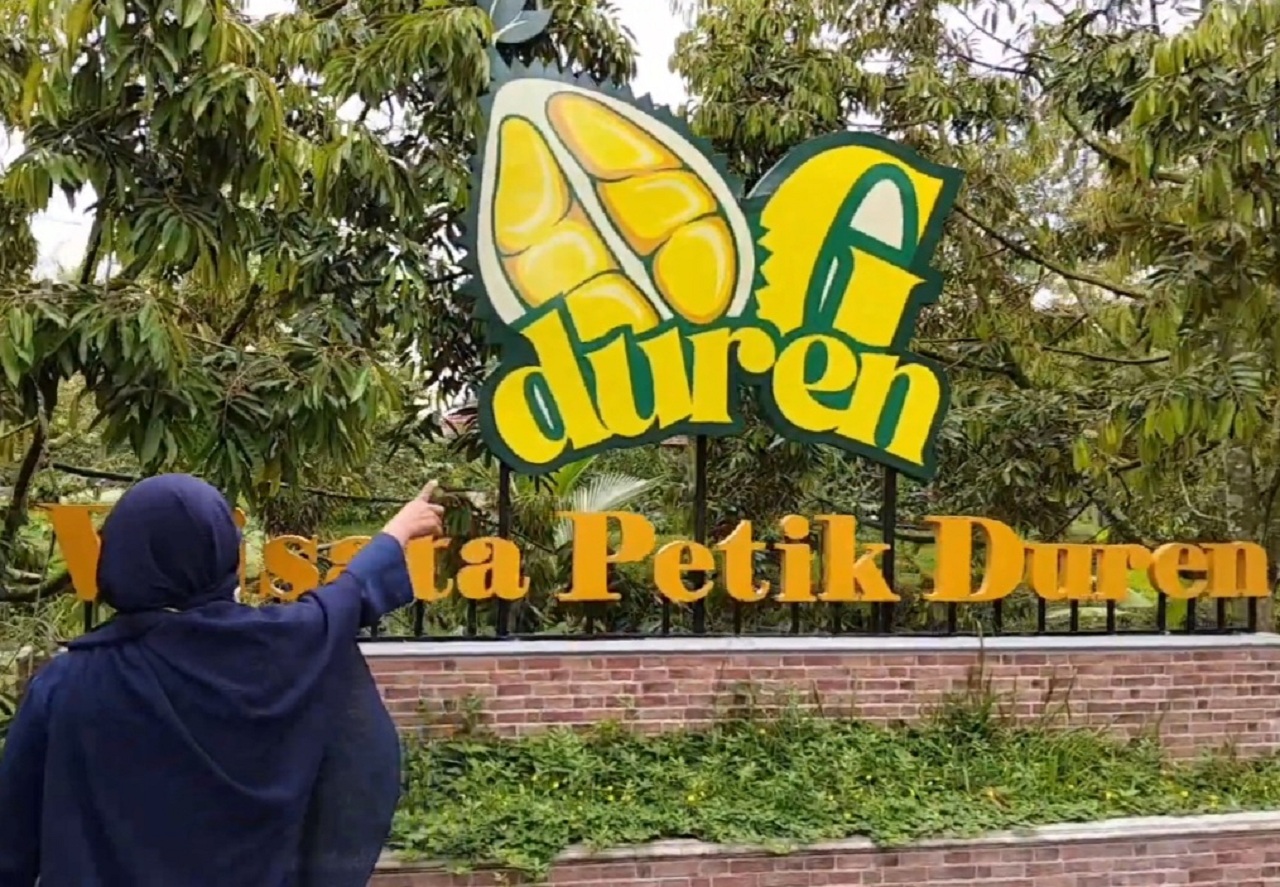Salah satu wisata petik durian di Kabupaten Malang, Jawa Timur. SP/ MLG