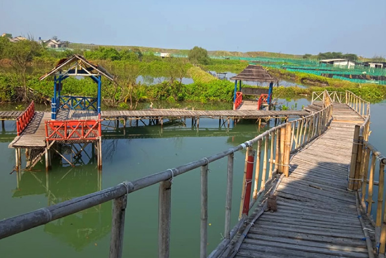 Objek wisata hutan mangrove di Desa Marparan, Kecamatan Sreseh, Kabupaten Sampang, Jawa Timur. SP/ SMP