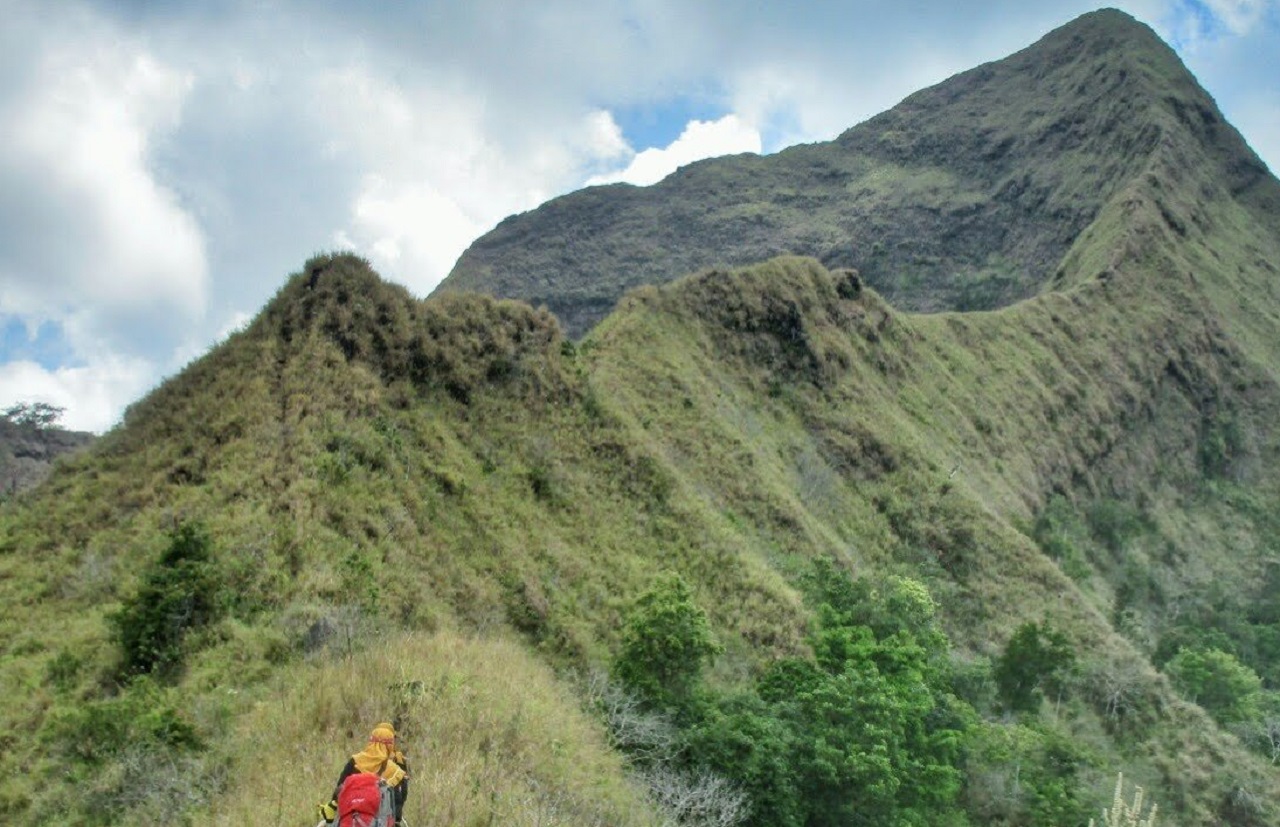 Ilustrasi. Perhutani KPH Bondowoso resmi melarang pendakian di Gunung Saeng, Piramid, dan Gul-gulan. SP/ BDW