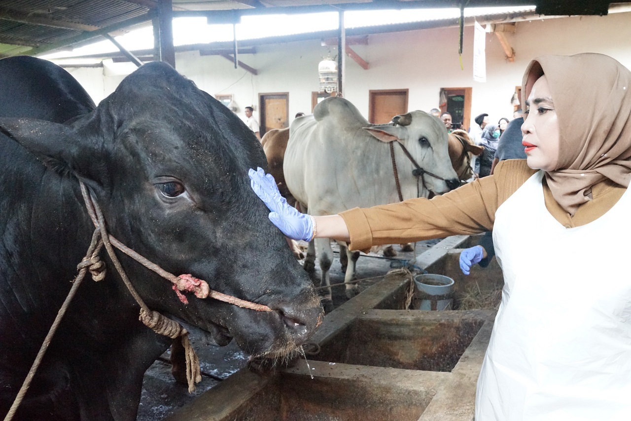 Kabupaten Sidoarjo menerima bantuan hewan kurban dari Presiden Republik Indonesia, Prabowo Subianto. SP/ HIKMAH