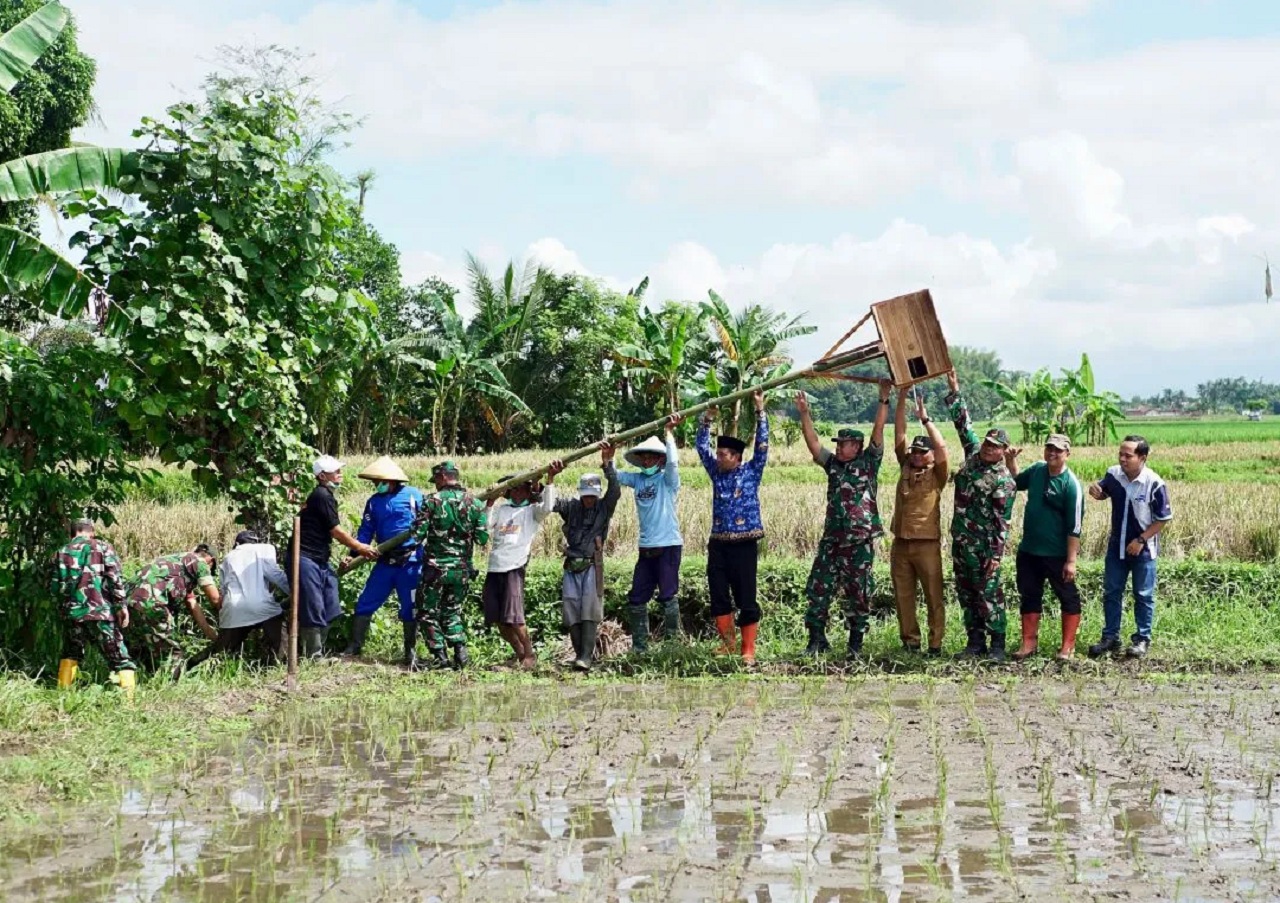 Kelompok tani dibantu TNI saat memasang rumah burung hantu di lahan pertanian. SP/ BYW