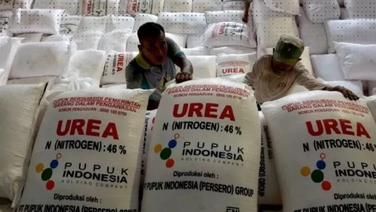 Ilustrasi. Pengambilan pupuk subsidi di Kabupaten Situbondo. SP/ STB