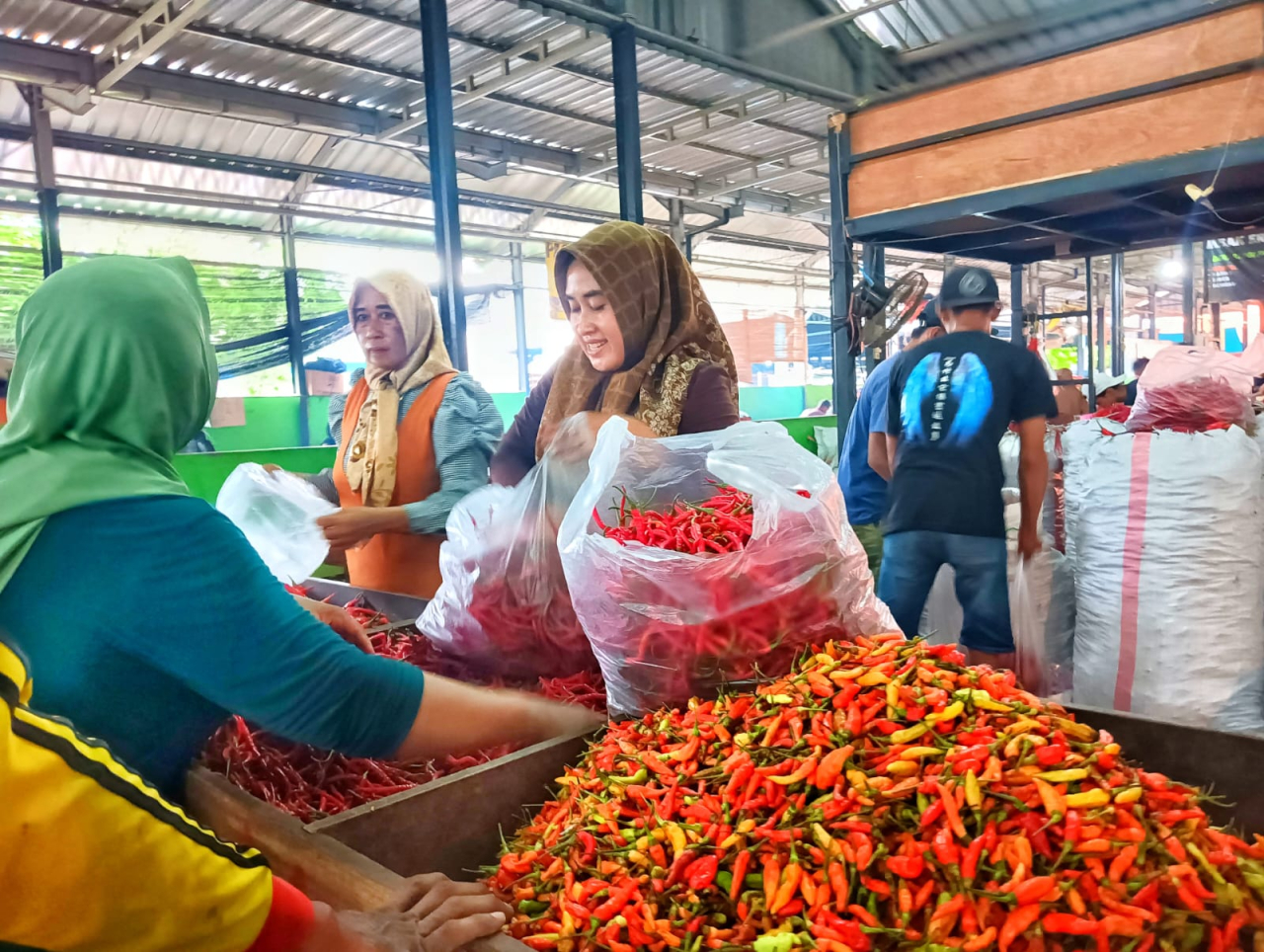 Harga cabai mulai stabil. SP/ Achmad Adi