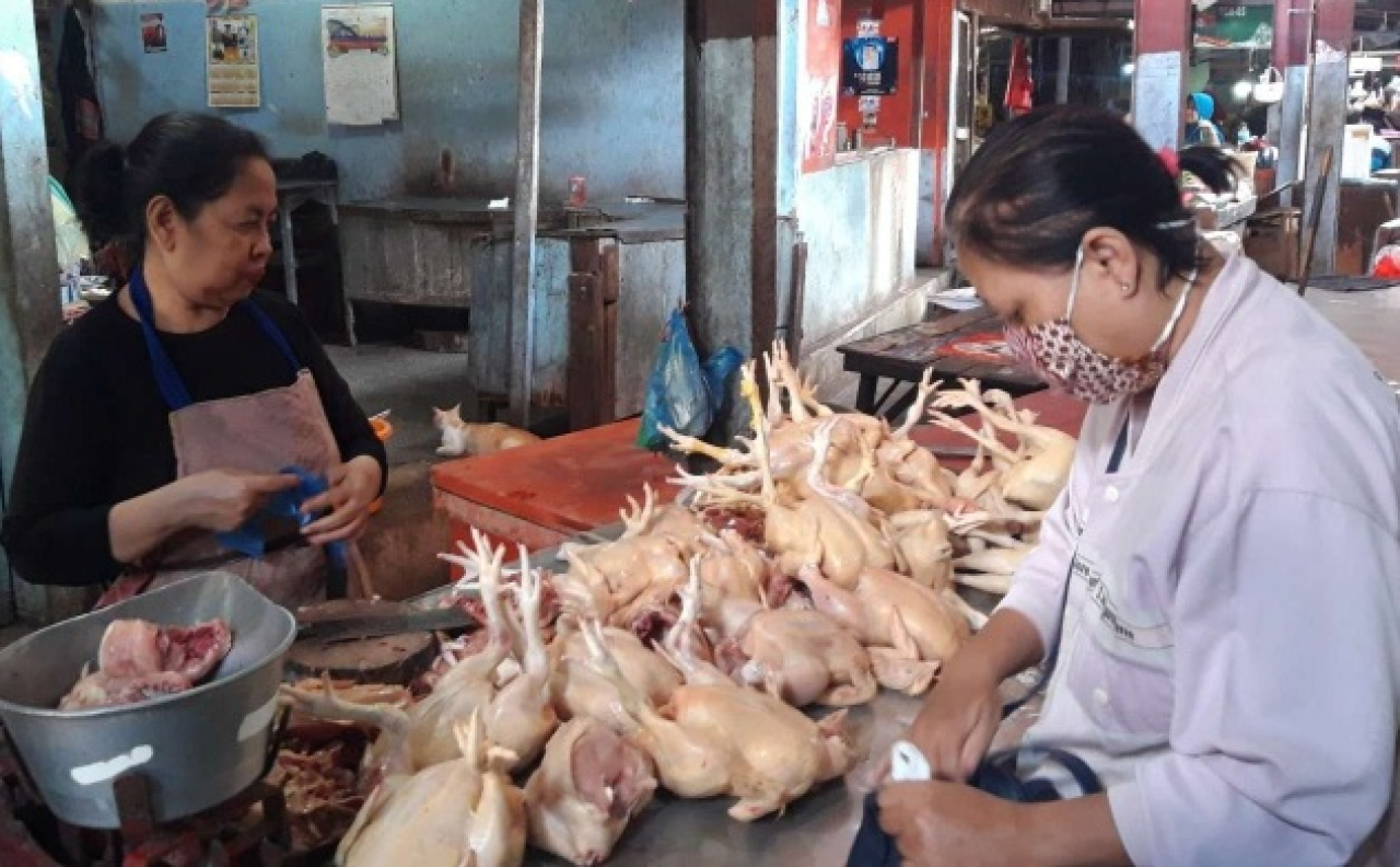 Ilustrasi. Para penjual ayam broiler di pasar tradisional Probolinggo, Jawa Timur. SP/ PRB