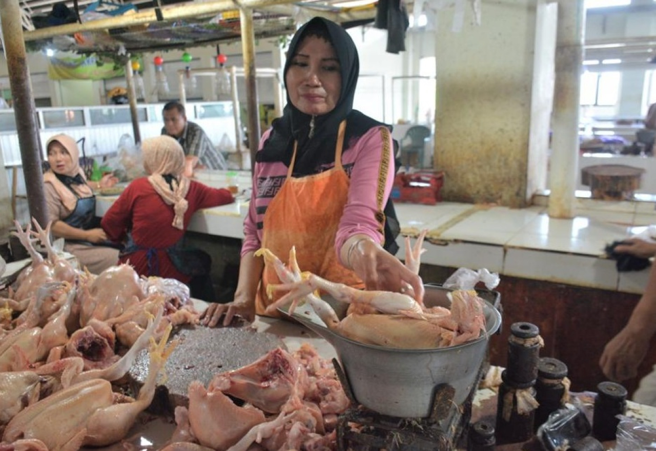 Ilustrasi. Penjual daging ayam potong di pasar tradisional Ngawi, Jawa Timur. SP/ NGW
