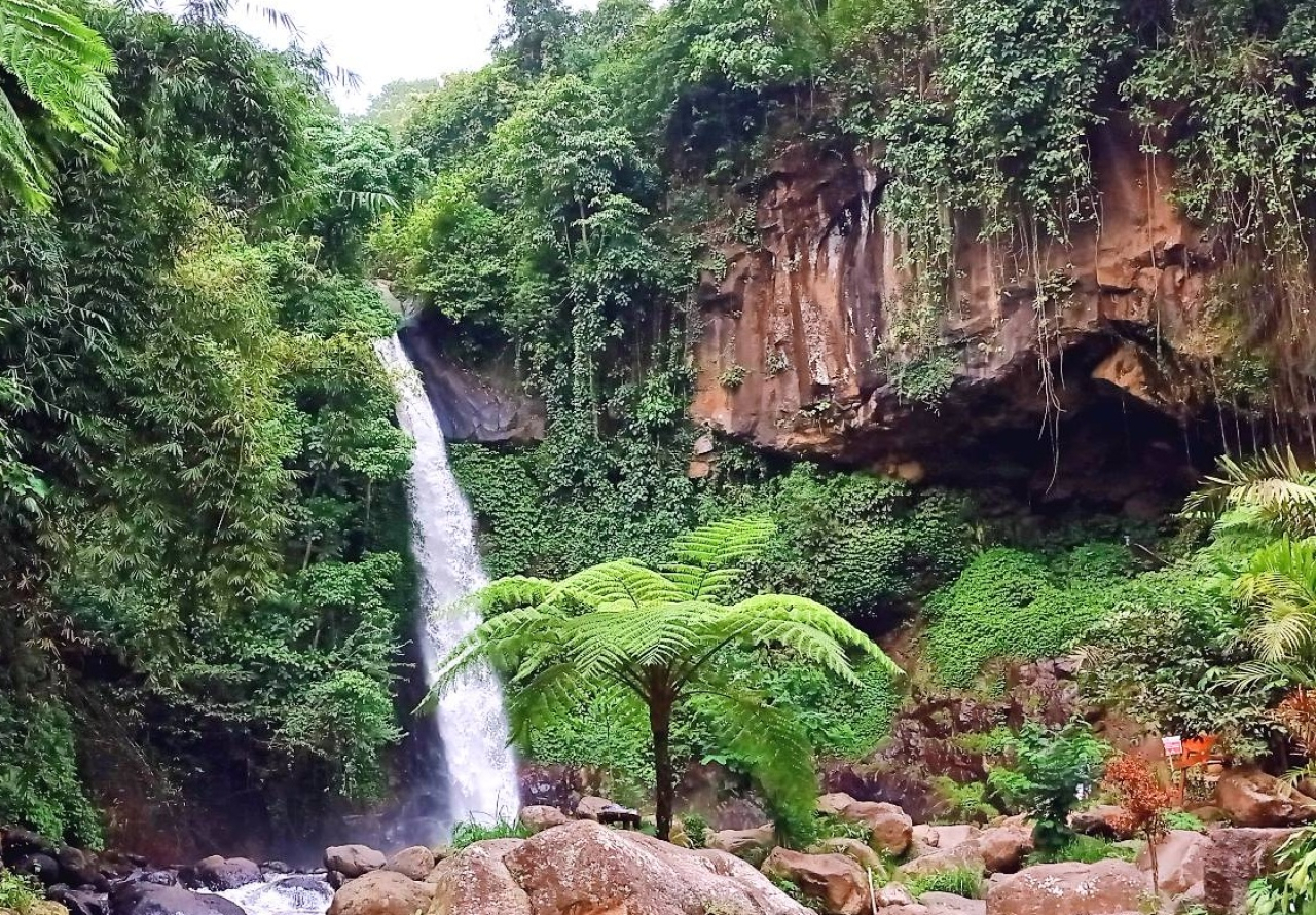 Coban Jahe, air terjun eksotis yang berada di Jalan Begawan, Dusun Krajan, Taji, Kecamatan Jabung, Kabupaten Malang, Jawa Timur. SP/ MLG