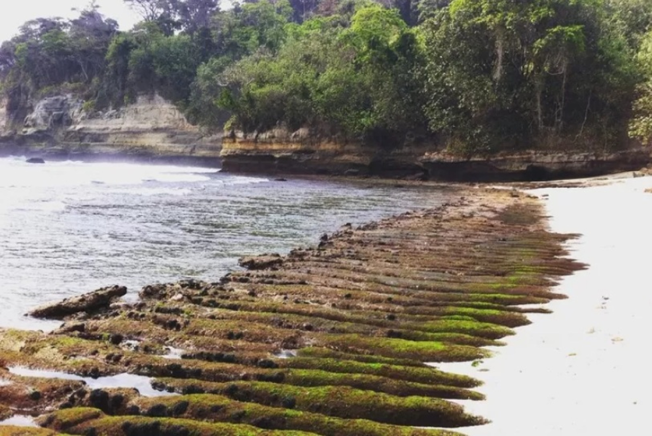 Keindahan Pantai Jung Pakis yang berada di pesisir Desa Jengglungharjo, Kecamatan Tanggunggunung, Tulungagung, Jawa Timur. SP/ TLG