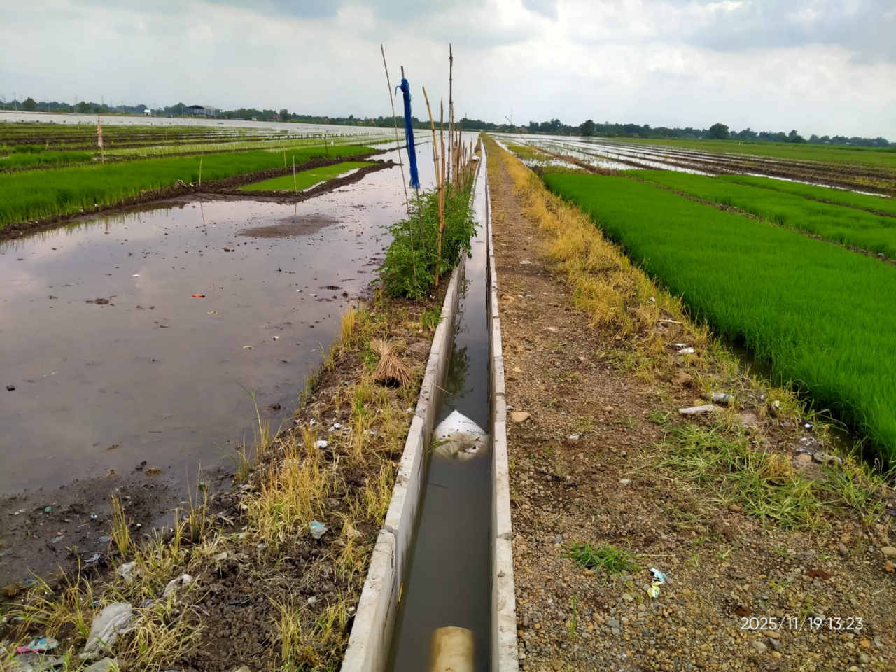 Bangunan saluran irigasi pertanian di RT 02, RW 01 Desa Kedinding. SP/JUM