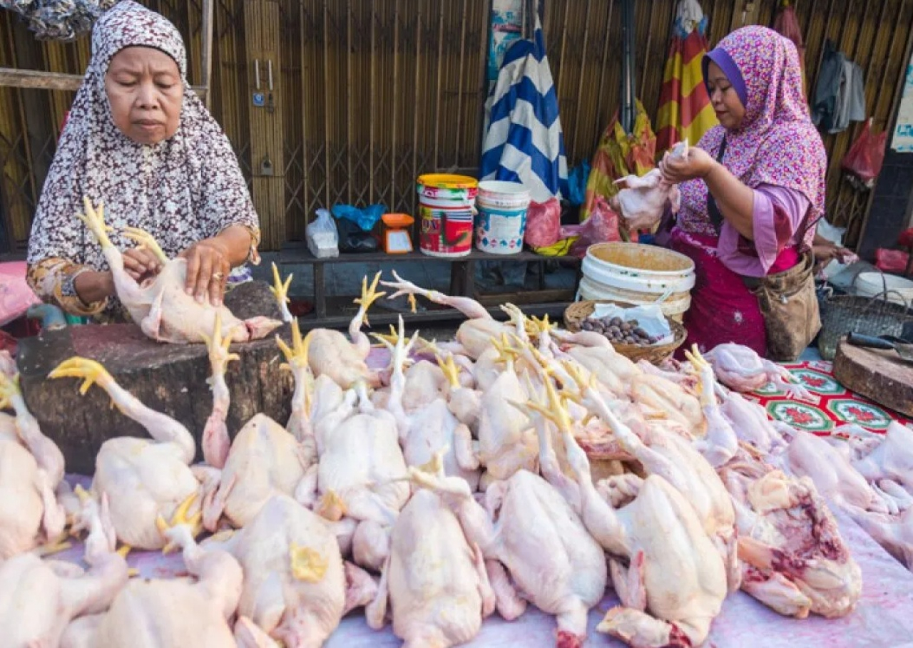 Ilustrasi. Penjual daging ayam di pasar tradisional Kabupaten Jombang, Jawa Timur. SP/ JBG