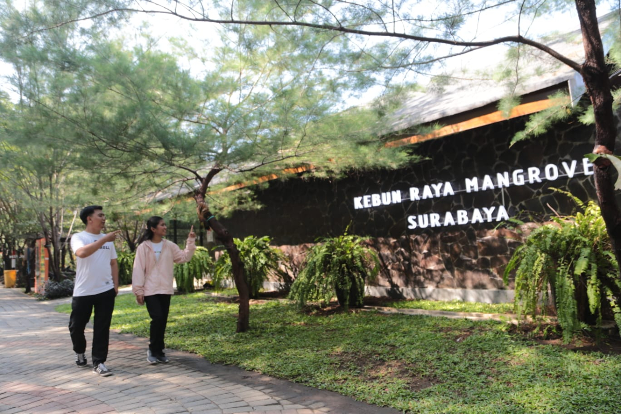 Destinasi wisata mangrove SUrabaya. SP/ Al Qomaruddin