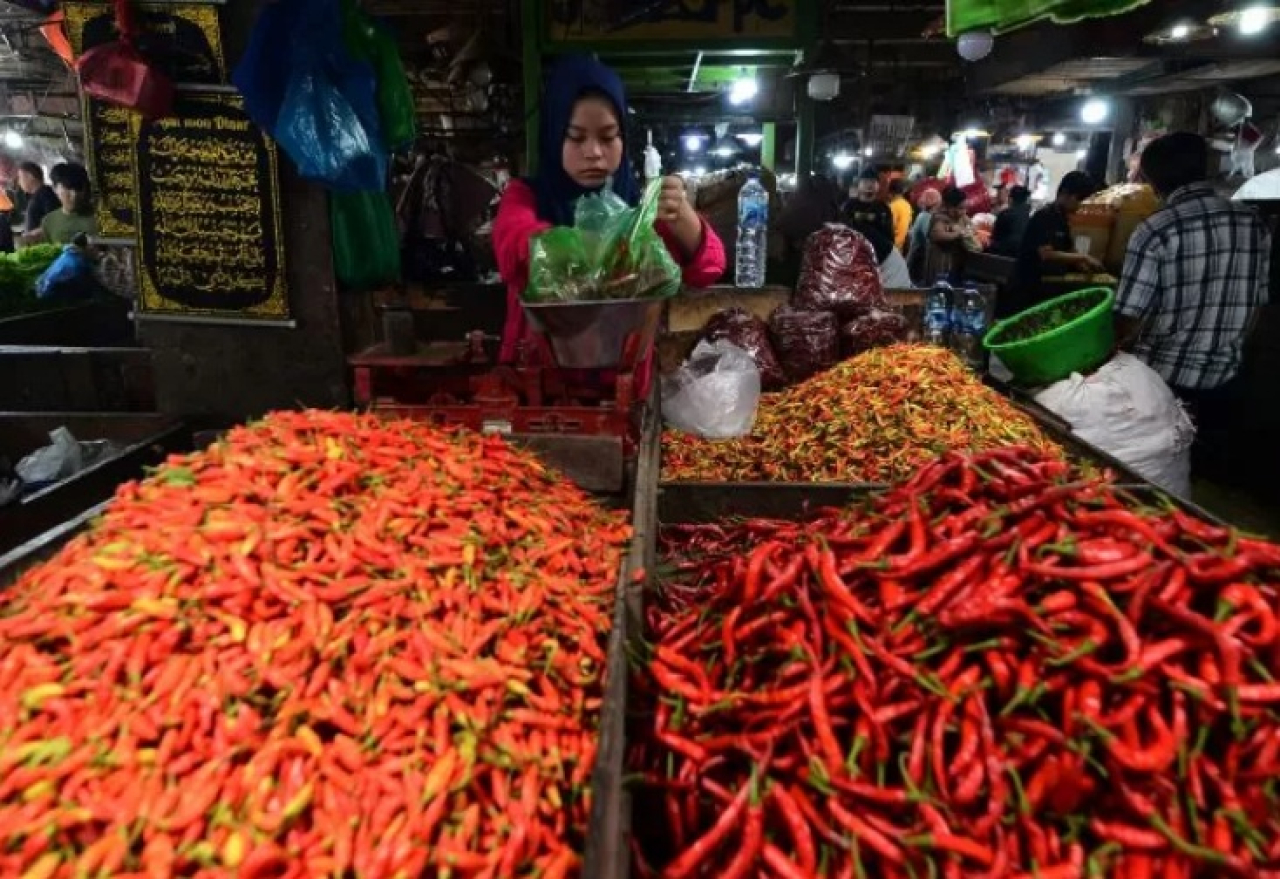 Ilustrasi. Penjual cabai rawit di pasar tradisional Kota Malang, Jawa Timur. SP/ MLG