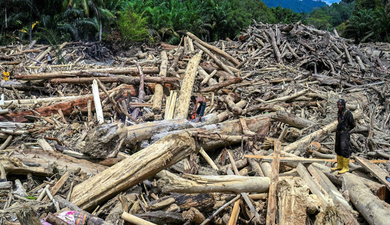 Hingga Kamis 4 Desember 2025, tumpukan material kayu gelondongan masih terlihat dan mulai dimanfaatkan warga sebagai material untuk membangun kembali rumah mereka yang rusak. 