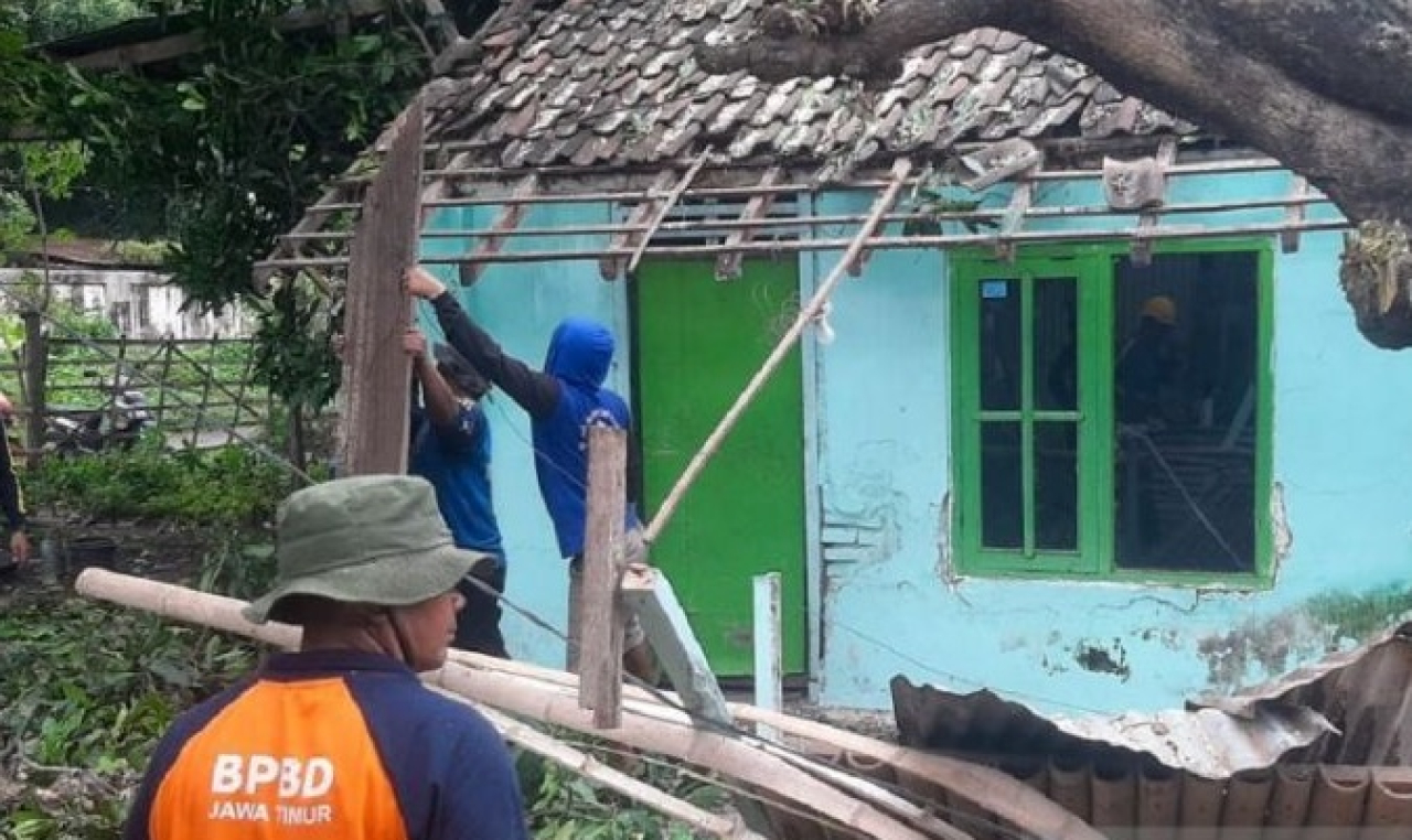 Petugas BPBD Situbondo, Jawa Timur, mengevakuasi pohon tumbang menimpa rumah warga. SP/ STB
