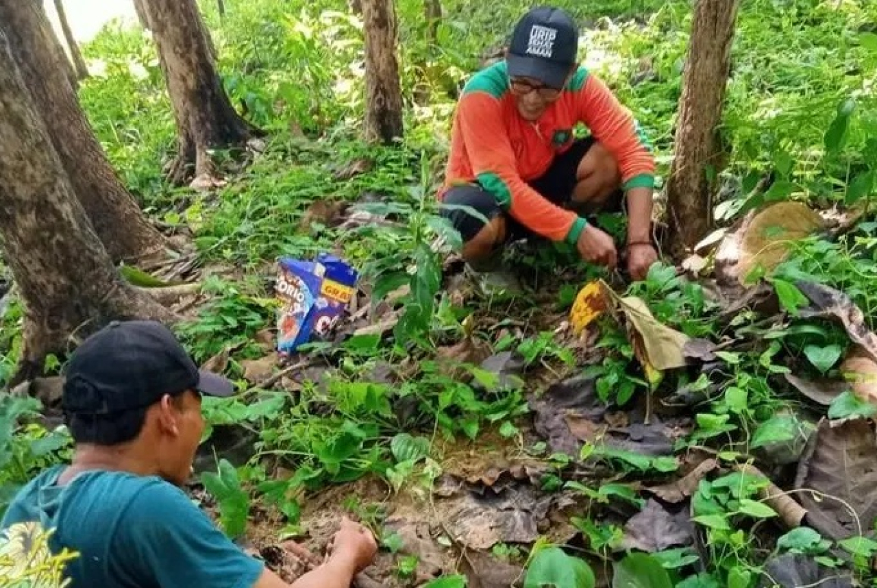 Warga di Kecamatan Temayang, Bojonegoro beramai-ramai berburu jamur barat saat libur di musim hujan tiba. SP/ BJN 