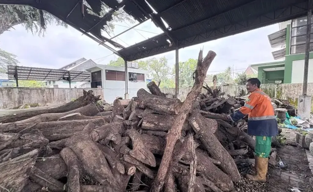 Pemkot Malang Lelang 3.750 Pohon Hasil Penebangan Akibat Usia dan Kondisi Fisik