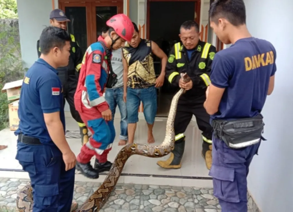 Meresahkan! Musim Hujan Picu Banjir hingga Ular Masuk Rumah Warga di Pasuruan