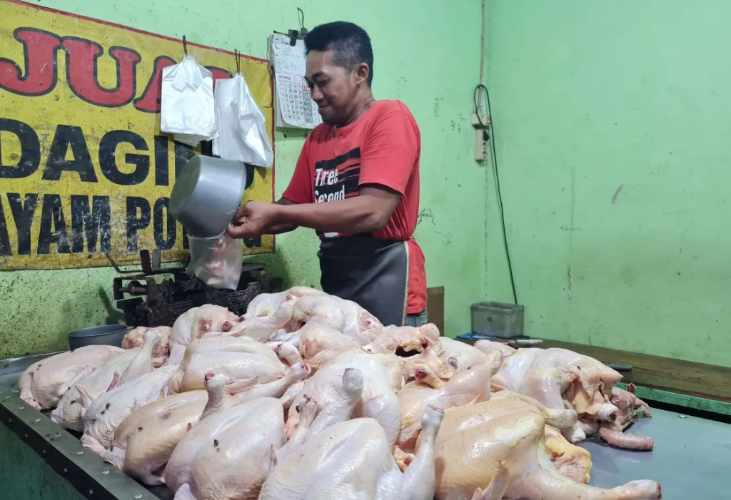 Jelang Bulan Puasa, Harga Daging Ayam di Pasar Lumajang Tembus Rp 40 Ribu per Kg