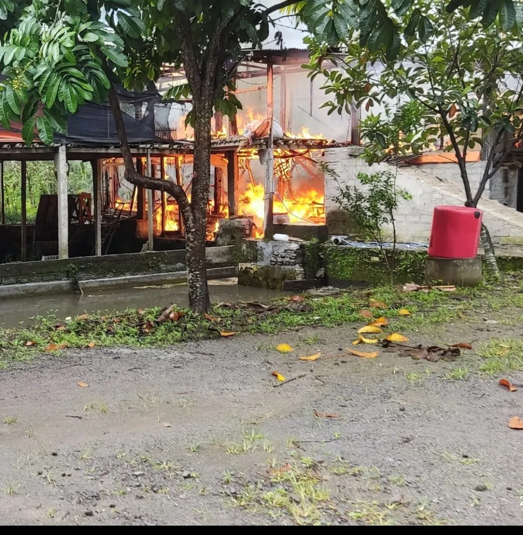 Kandang Ayam Ludes Terbakar, Kerugian Capai Puluhan Juta Rupiah