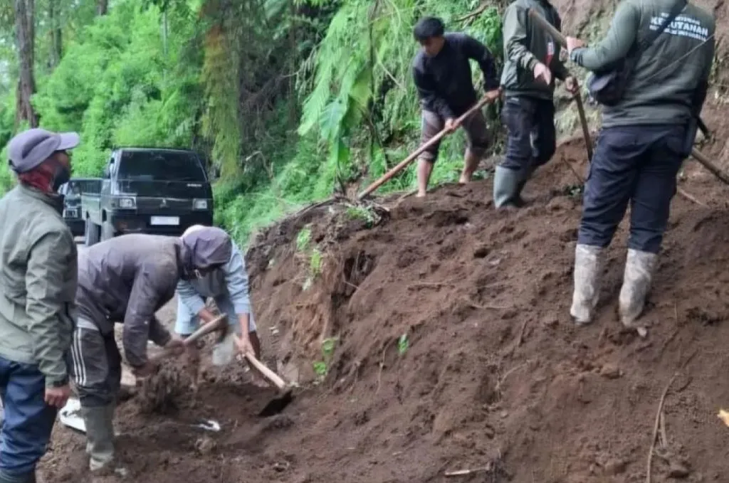Dipicu Hujan Deras, BPBD Malang Tangani Longsor di Akses Jalur ke Bromo