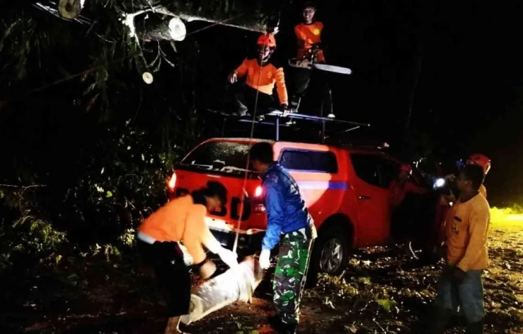 Dilanda Hujan Deras, Jalur Nasional Trenggalek-Ponorogo Lumpuh Total Gegara Pohon Tumbang