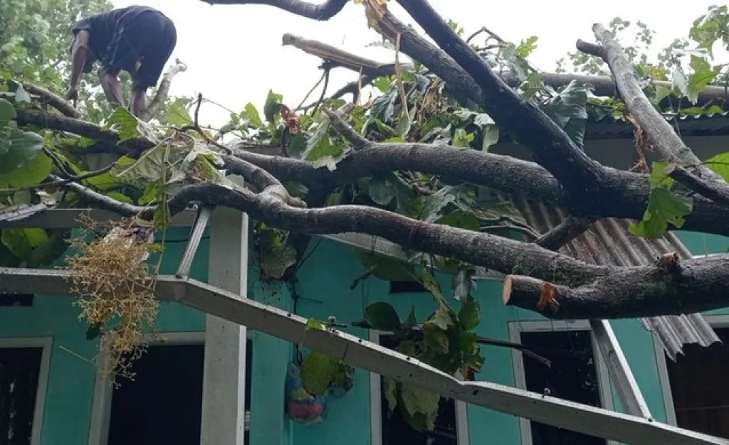 Fenomena hidrometeorologi: Rumah dan Warung Warga di Malang Tertimpa Pohon Gegara Hujan Angin