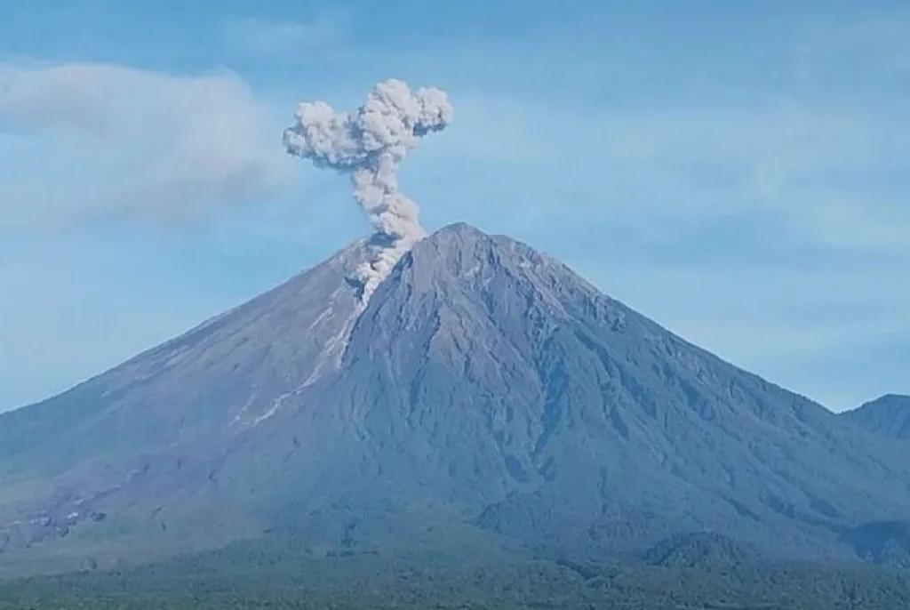 Masuk Level Siaga,Gunung Semeru Erupsi 7 Kali Semburkan Abu Setinggi 1.200 Meter