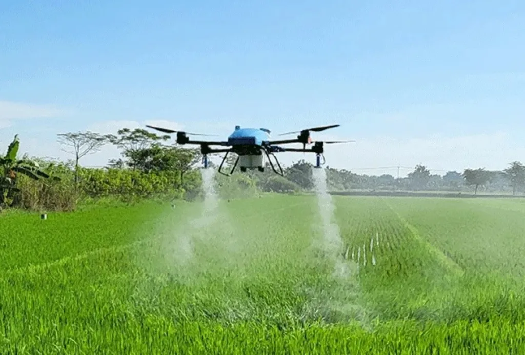 Dongkrak Produktivitas Padi, Pemkab Situbondo Sediakan Drone Sprayer Gratis bagi Petani