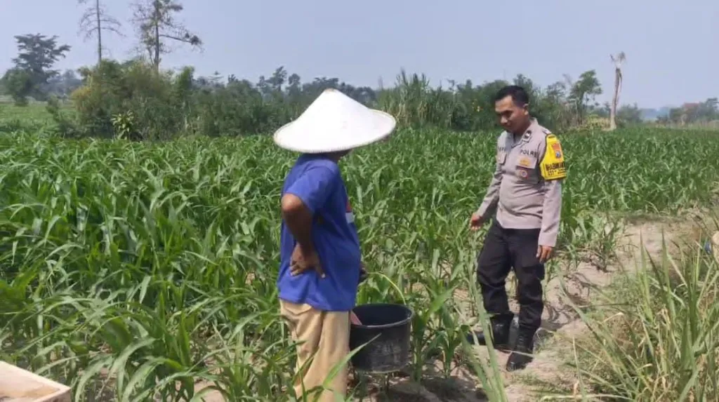 Bhabinkamtibmas Polsek Gandusari Dukung Ketahanan Pangan Nasional
