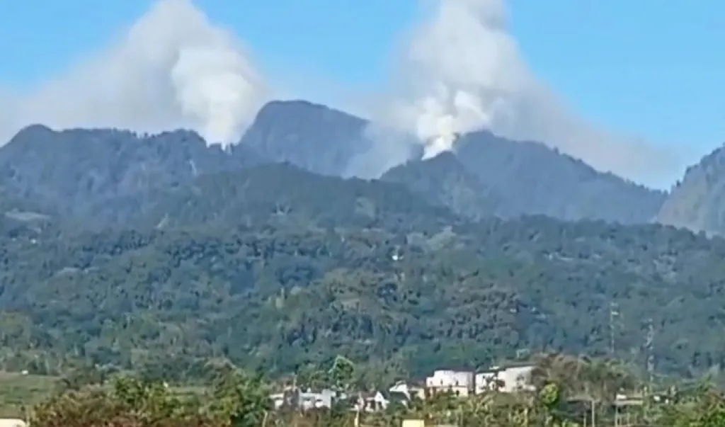 Baca juga : Hutan di Gunung Biru Mojokerto Terbakar Hebat, 4 Regu Damkar Diterjunkan