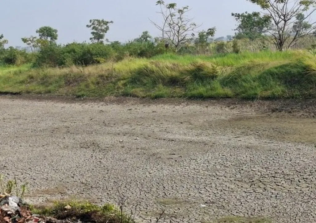 Masa Tanam Ketiga: 156 Waduk di Gresik Mengering, Petani Mulai Gelisah Kebutuhan Pasokan Air