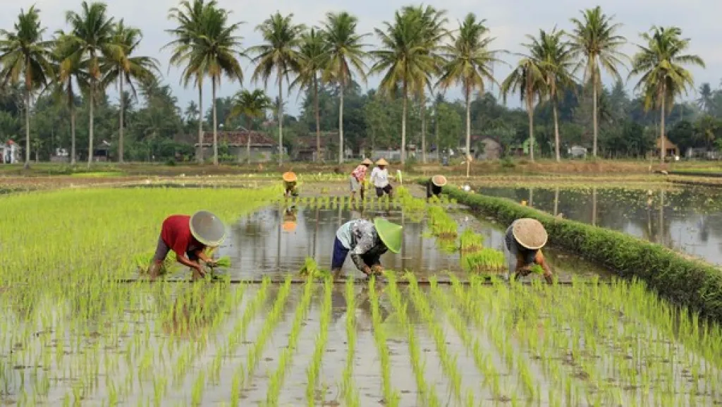 Indonesia -Thailand Tingkatkan Kerja Sama Pertanian, Hingga Pengolahan Pangan