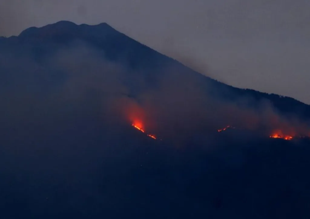 Baca juga : Ditemukan Titik Kebakaran Hutan, Jalur Pendakian Arjuno-Welirang Ditutup