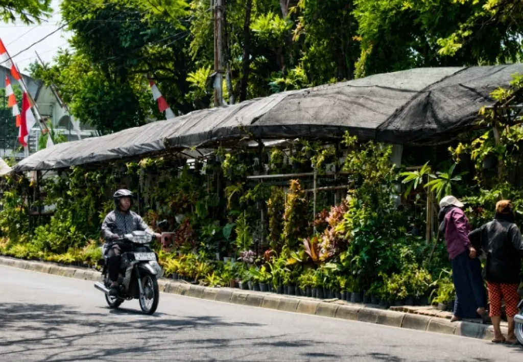 Perkuat Ekonomi Kerakyatan, Pemkot Batu Tata Kawasan Jalan Bukit Berbunga Sidomulyo
