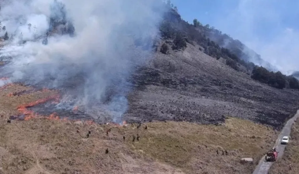 Ditutup Total Pasca Karhutla, Wisata Gunung Bromo Siap Dibuka Kembali 20 Agustus