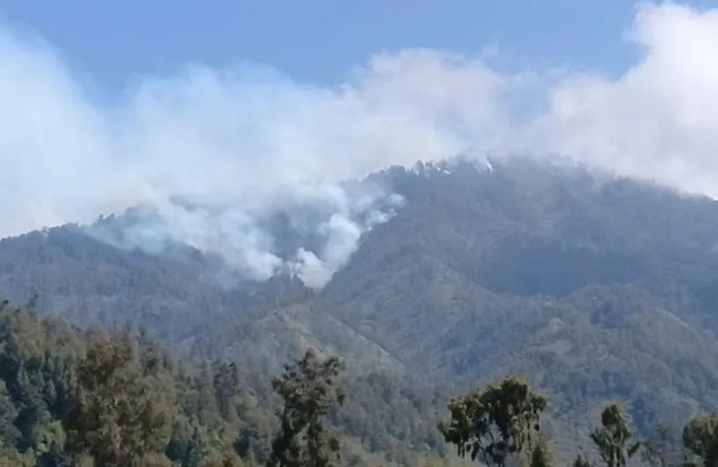 Ditemukan 4 Titik Kebakaran, Karhutla TNBTS Meluas Hingga Kawasan Malang