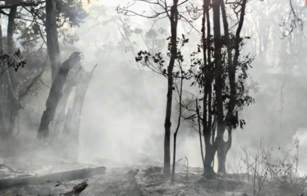 Berhasil Dipadamkan, Luas Lahan Kebakaran di Gunung Buthak Capai 15 Hektare