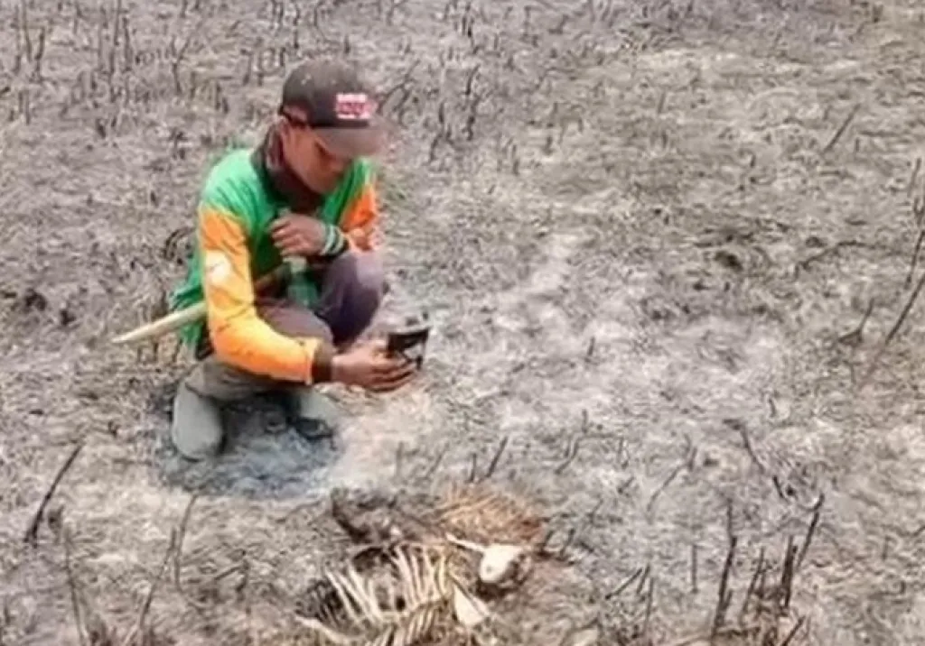 Selain Vegetasi, TNBTS Lumajang Temukan Kijang Mati Terbakar Saat Karhutla
