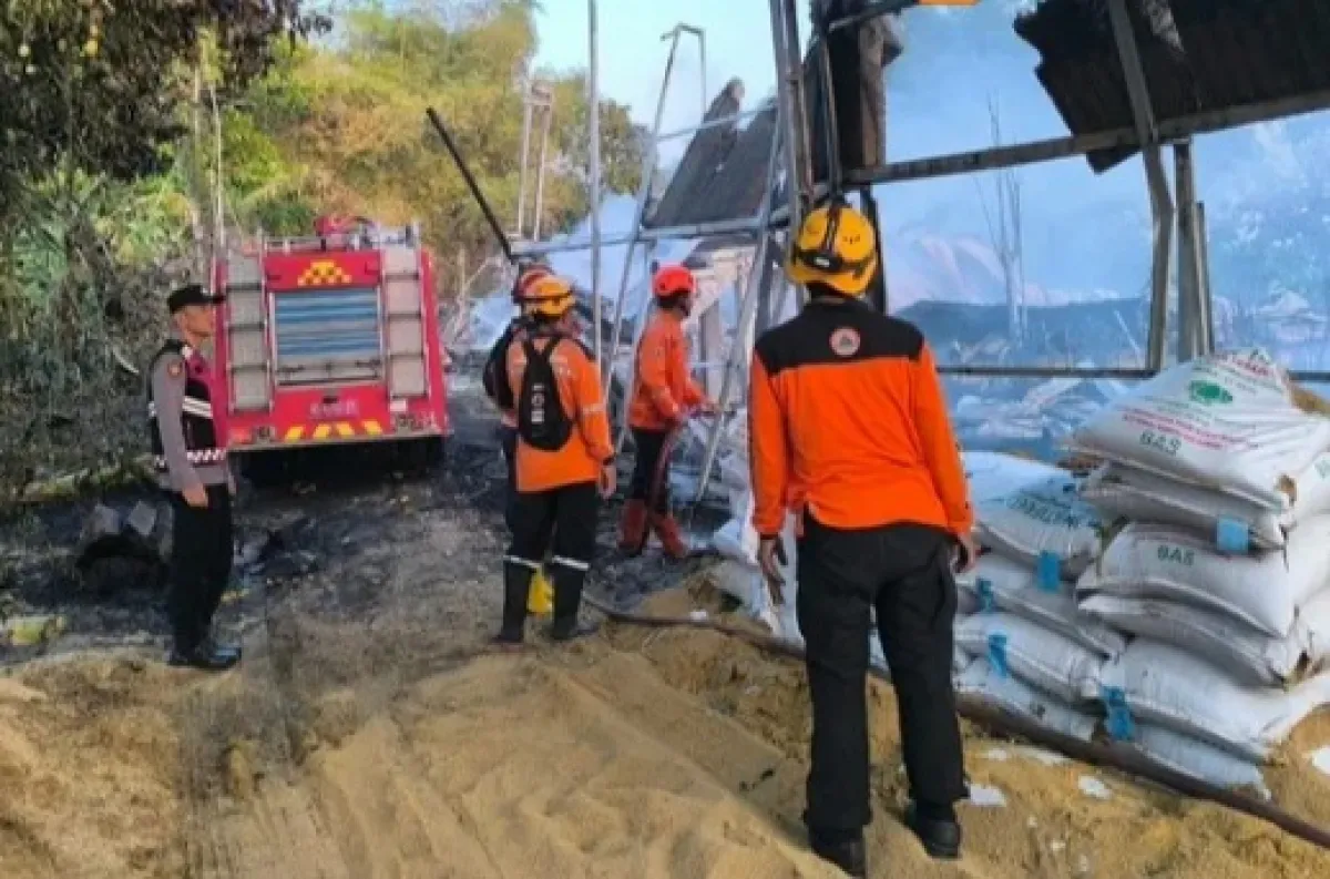 Terbakar Hebat! 13 Ribu Ayam di Madiun Gosong, Kerugian Capai Rp1 Miliar