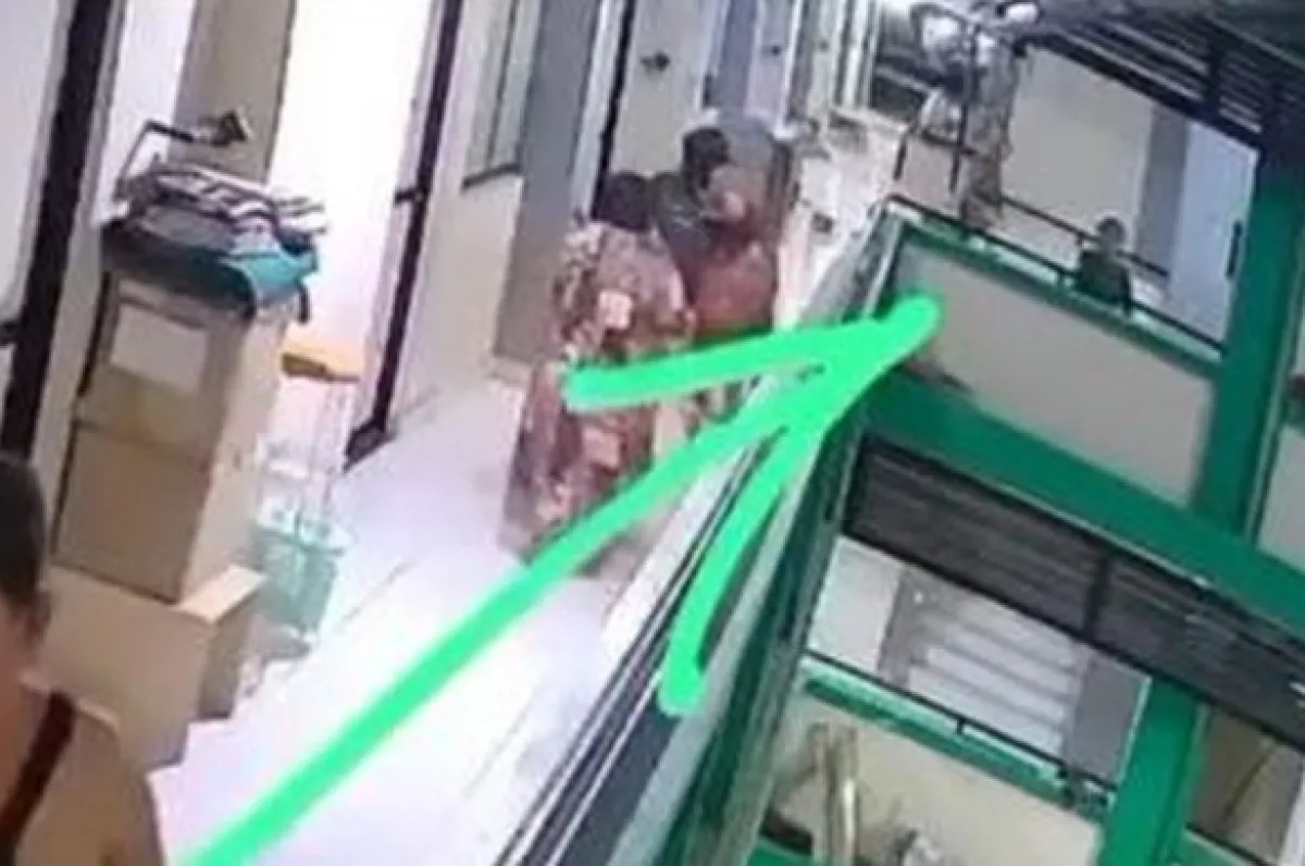 Viral, Anak Kucing Dilempar dari Lantai 5 Rusunawa hingga Tewas di Probolinggo