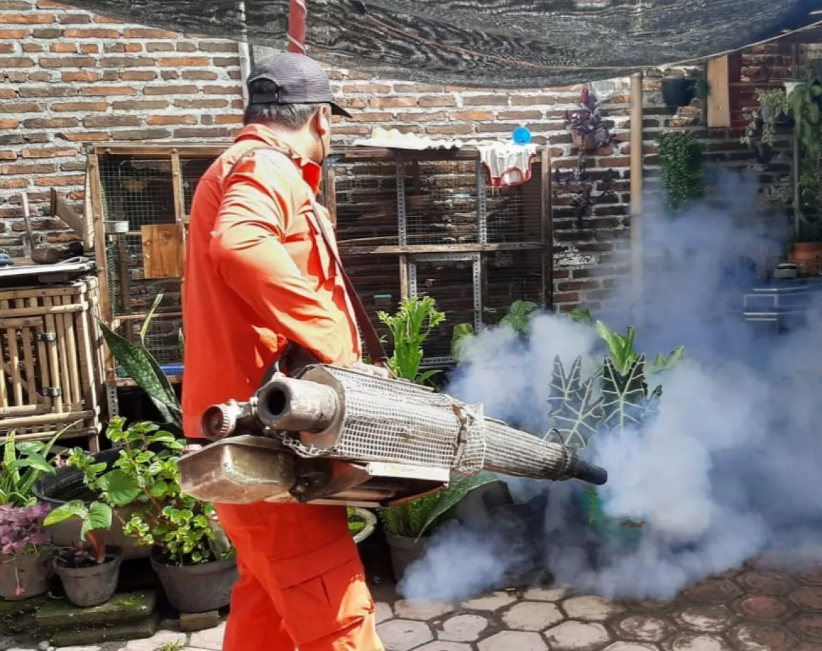 Ancaman Kasus DBD di Tengah Musim Kemarau, Dua Warga di Tulungagung Meninggal Dunia