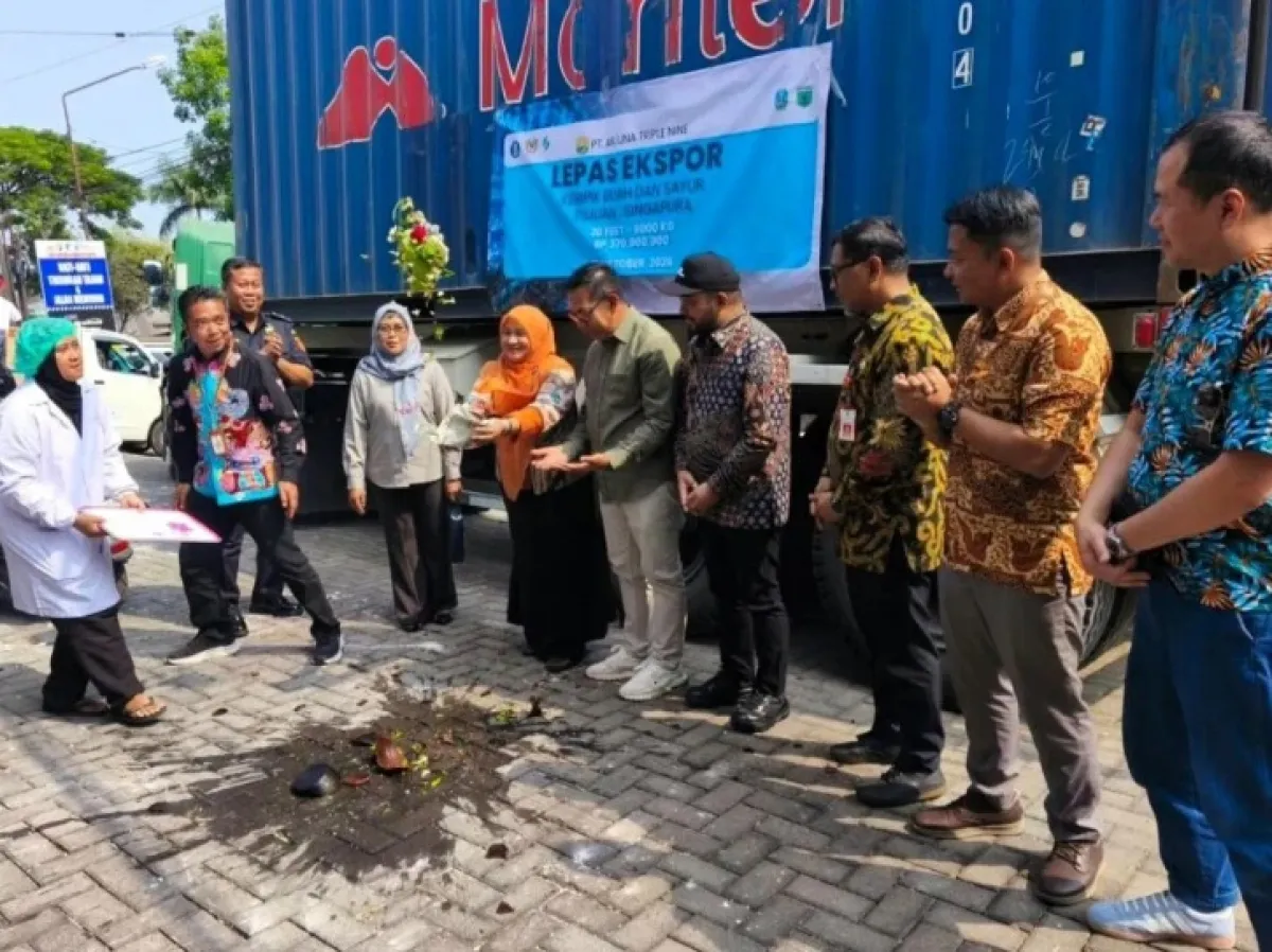 Ekspor 6 Ton Keripik Buah Batu Tembus Pasar Singapura Senilai Rp370 Juta