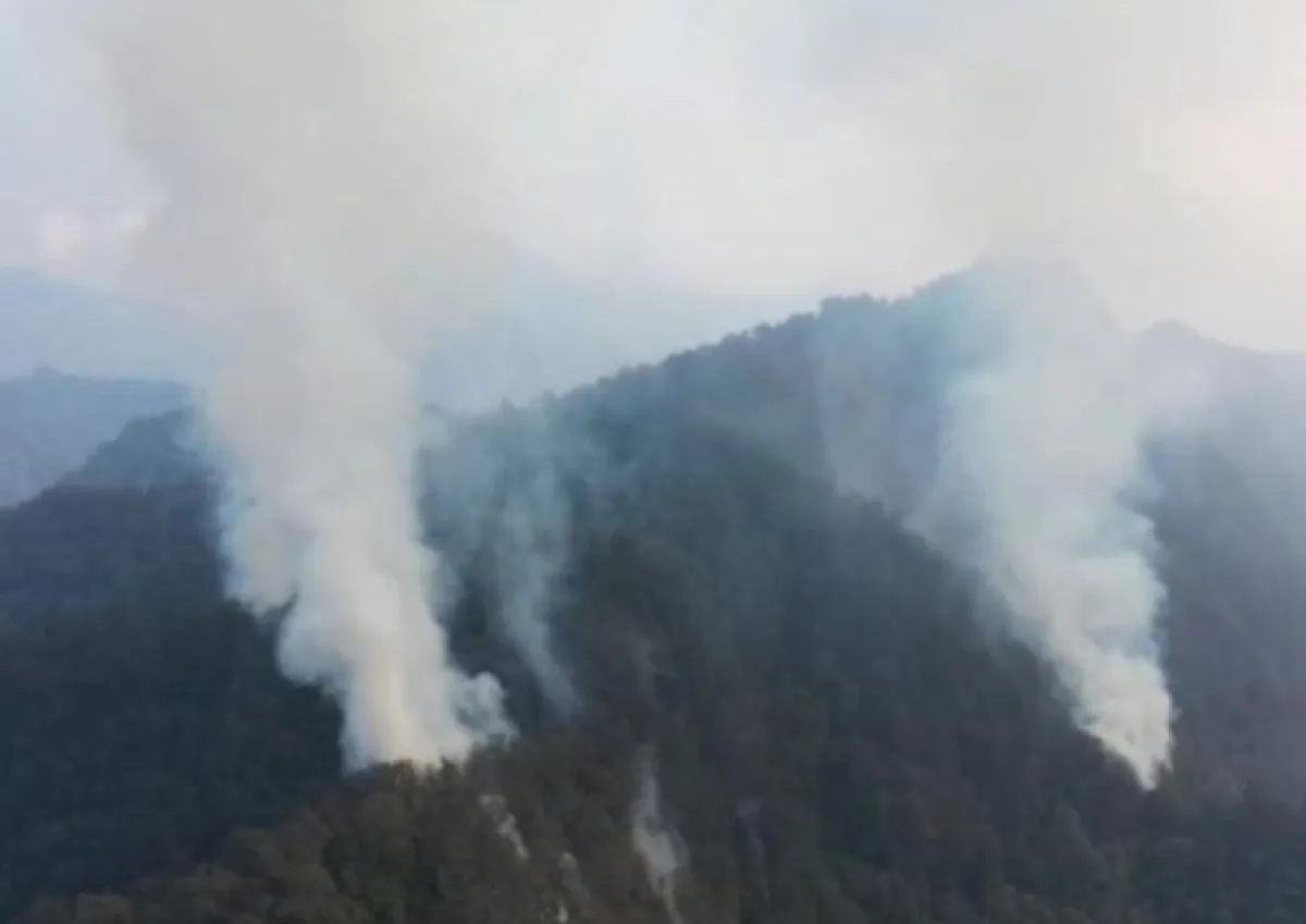 Imbas Kebakaran Hutan, Dishut: Jalur Pendakian Arjuno-Welirang Ditutup Sementara