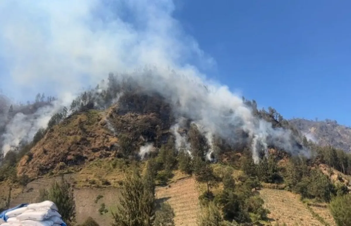 Warga-Wisatawan Diminta Waspada, Karhutla Bukit Seruni Point Bromo Berpotensi Meluas